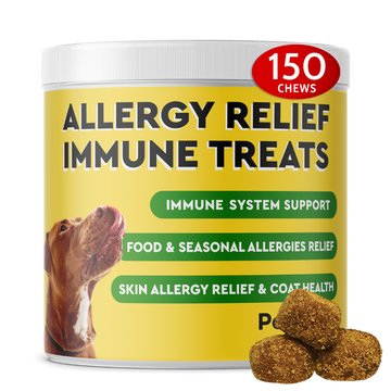 Allergy Relief Immune Chews (150 ct)