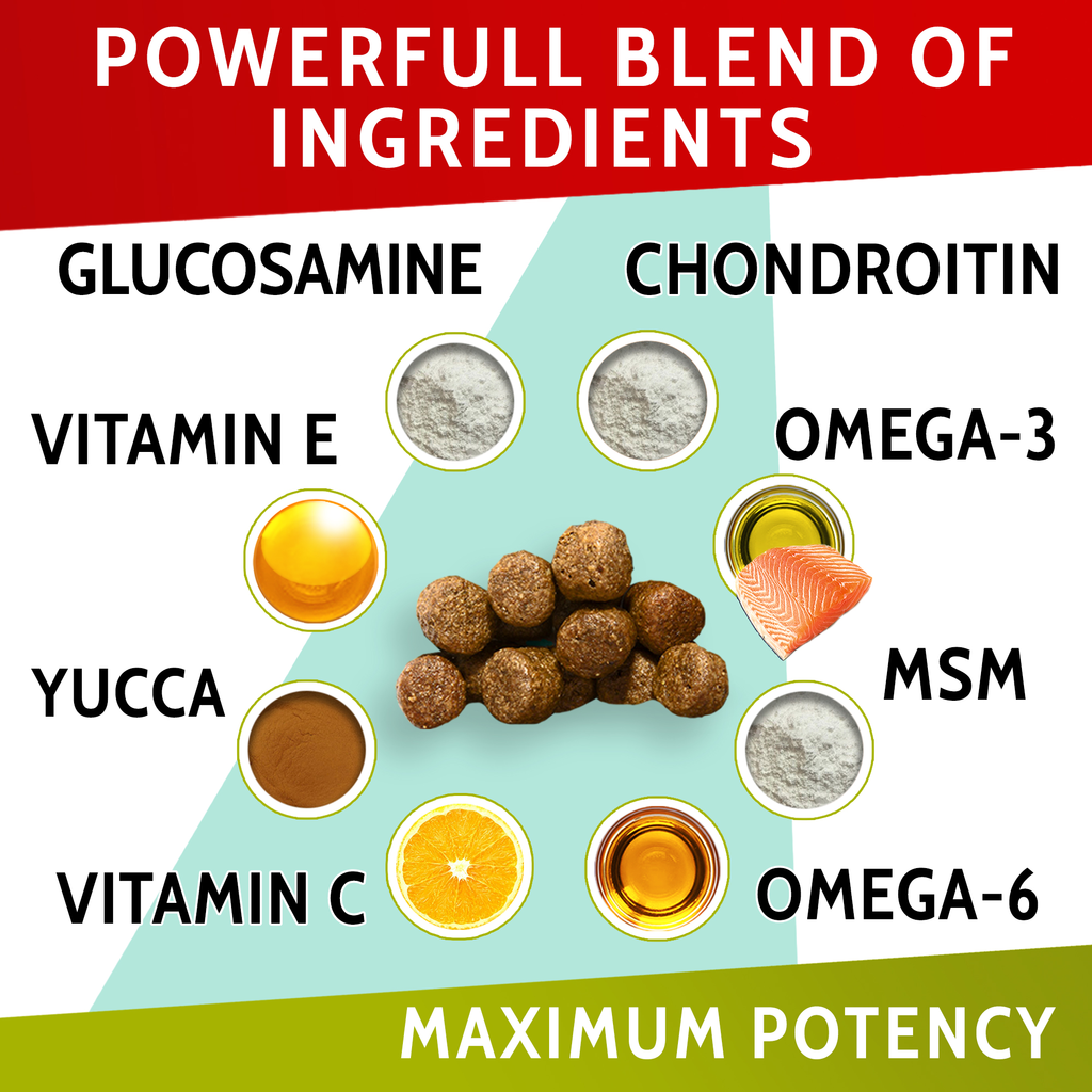 Glucosamine and omega sales 3 for dogs