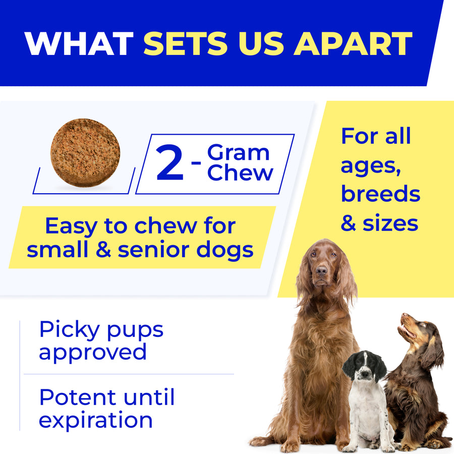 Vet Approved Probiotics (120ct)