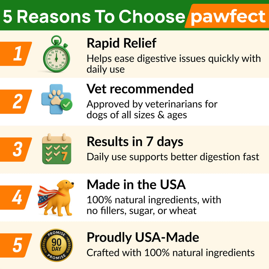 Pumpkin Powder for Dogs 8oz