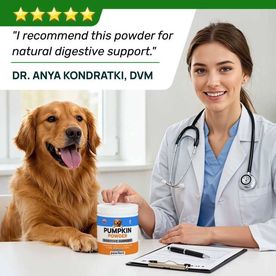 Pumpkin Powder for Dogs 8oz