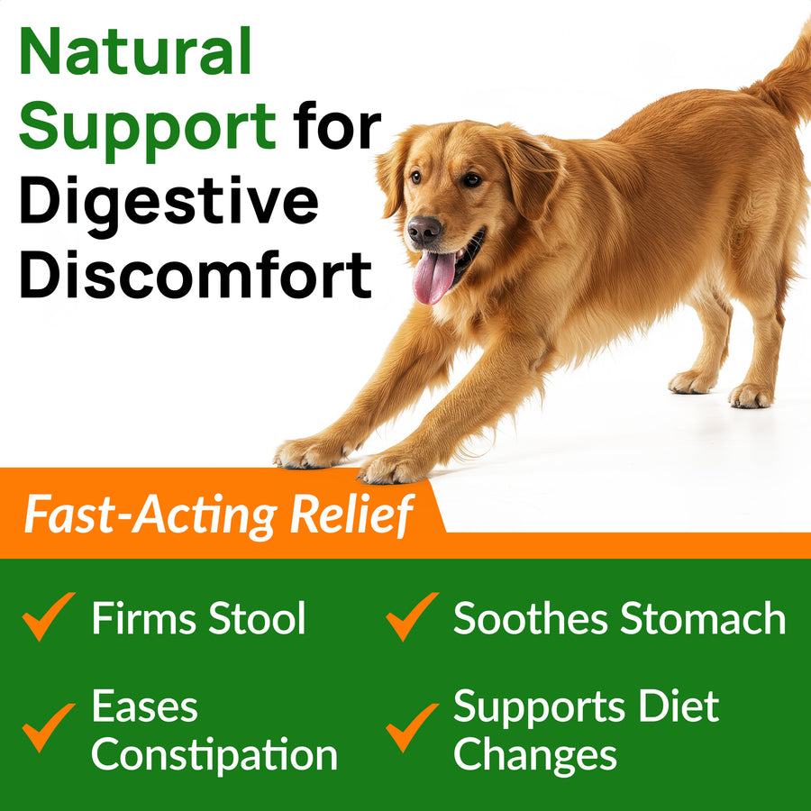 Pumpkin Powder for Dogs 8oz