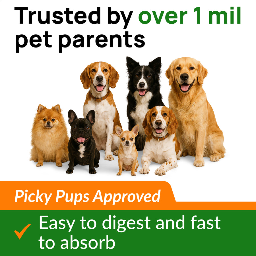 Pumpkin Powder for Dogs 8oz