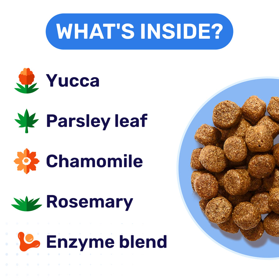 No Poo Chews for Dogs - Stool Eating Deterrent (120ct)