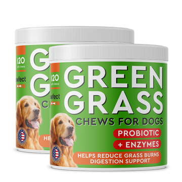 Dog Pee Grass Helper Bundle (240 ct)