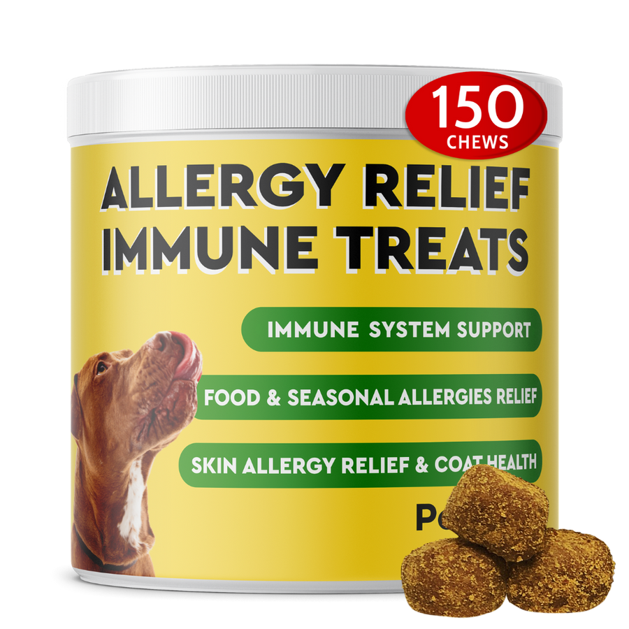 Dog treats for 2024 dogs with allergies