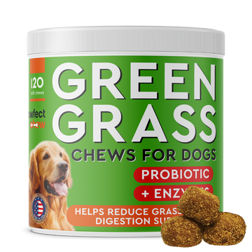 Dog Pee Grass Helper (120 ct)