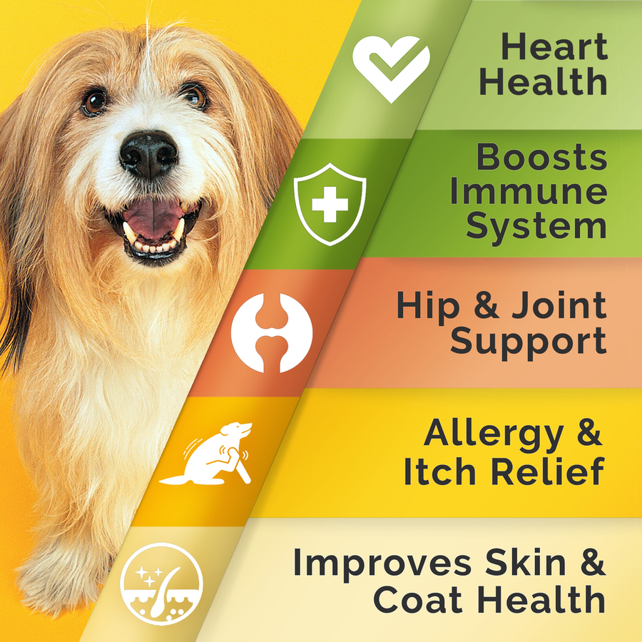 Omega 3 Treats Bundle (240 ct)