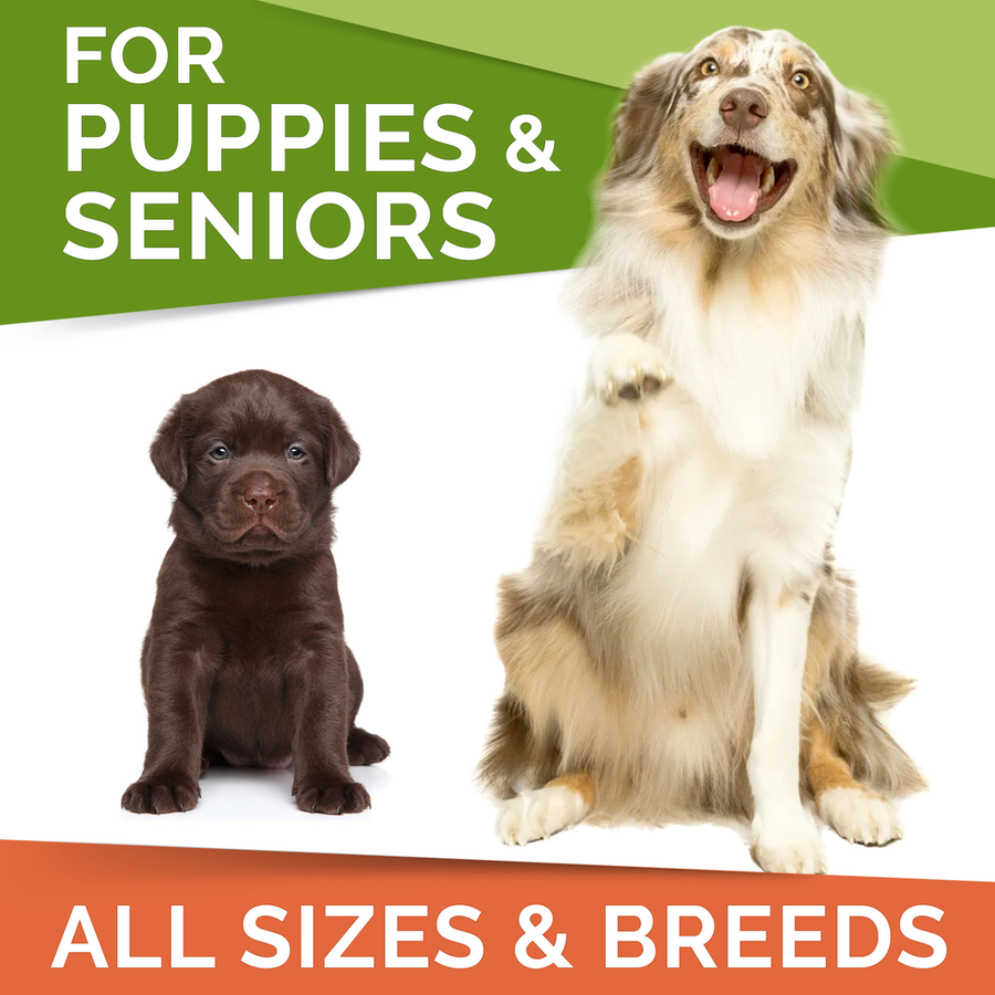 Omega 3 Treats Bundle (240 ct)