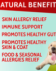 Allergy Relief Immune Chews Bundle (300 ct)