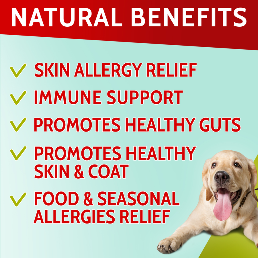 Allergy Relief Immune Chews Bundle (300 ct)