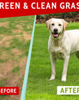 Dog Pee Grass Helper (120 ct)