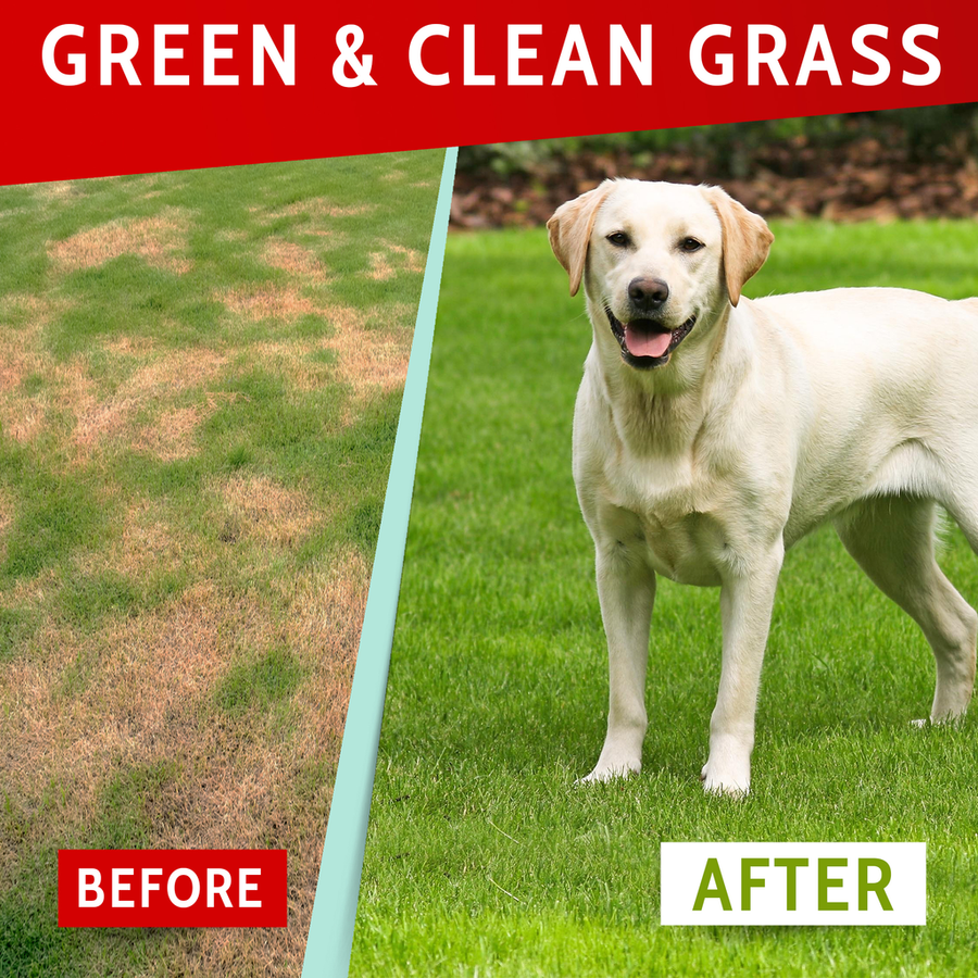 Dog Pee Grass Helper Bundle (240 ct)