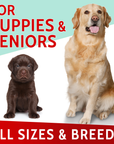 Dog Pee Grass Helper Bundle (240 ct)